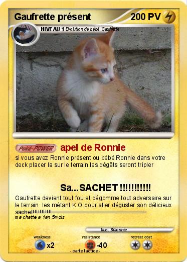 Pokemon Gaufrette présent