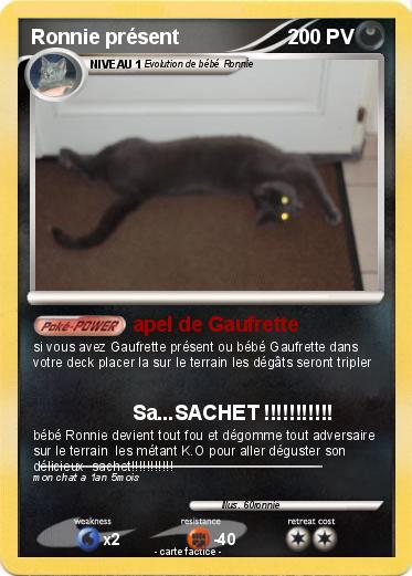 Pokemon Ronnie présent