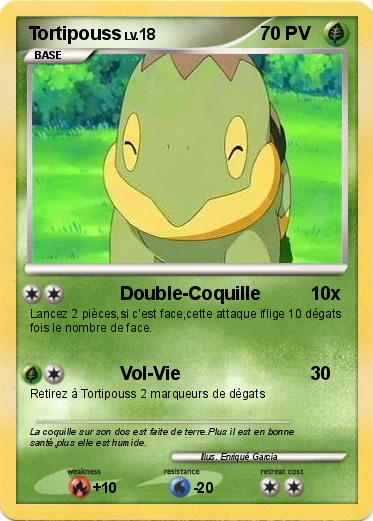 Pokemon Tortipouss
