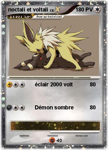 Pokemon noctali et voltali