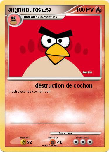 Pokemon angrid burds