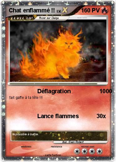 Pokemon Chat enflammé !!
