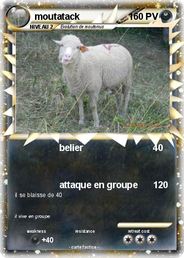 Pokemon moutatack