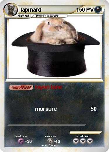 Pokemon lapinard