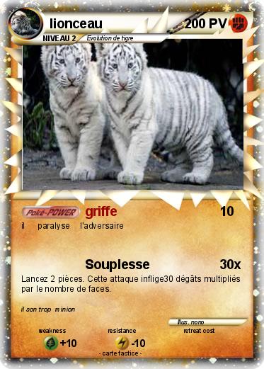 Pokemon lionceau