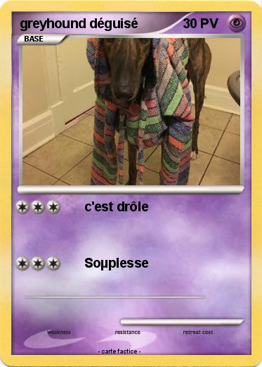 Pokemon greyhound déguisé