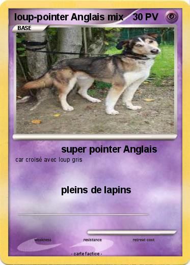 Pokemon loup-pointer Anglais mix