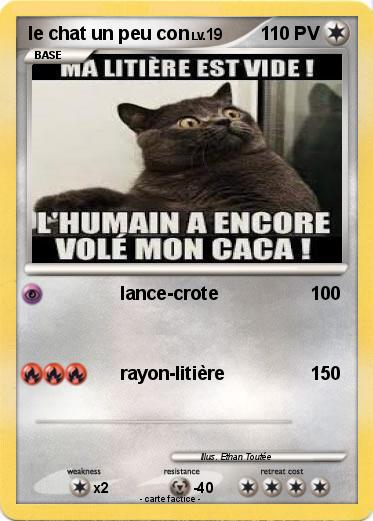Pokemon le chat un peu con