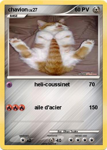 Pokemon chavion