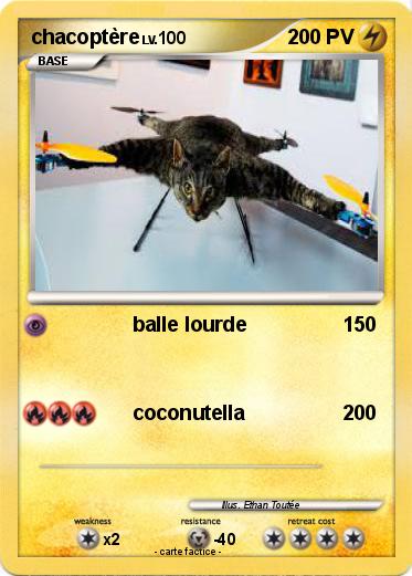 Pokemon chacoptère