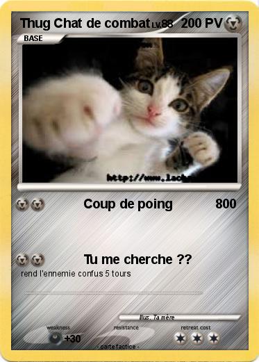 Pokemon Thug Chat de combat