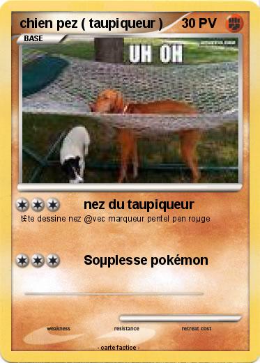 Pokemon chien pez ( taupiqueur )