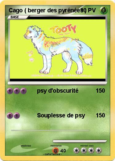 Pokemon Cago ( berger des pyrénées )