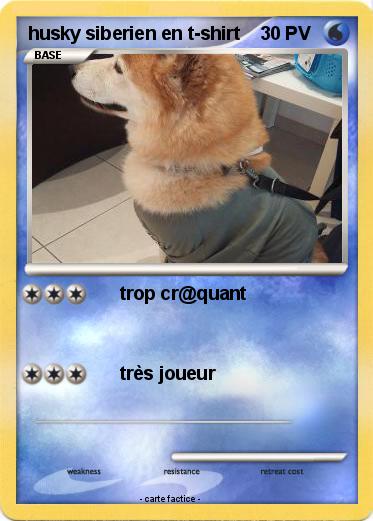 Pokemon husky siberien en t-shirt