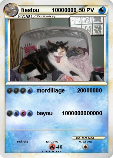 Pokemon fiestou        10000000