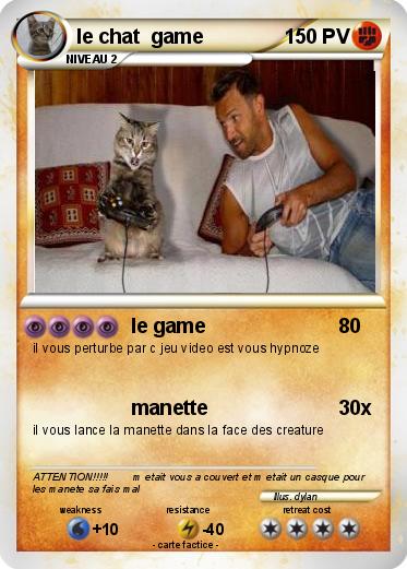 Pokemon le chat  game