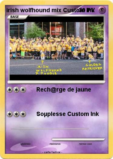 Pokemon irish wolfhound mix Custom Ink