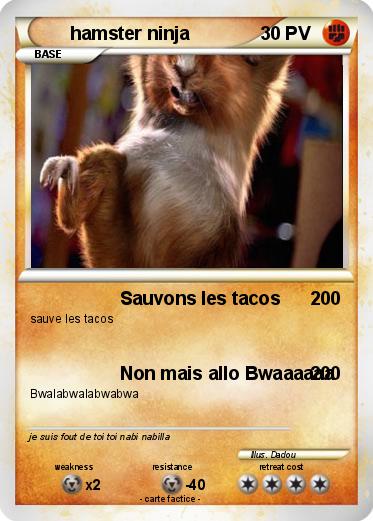 Pokemon hamster ninja