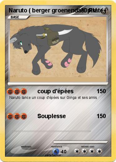 Pokemon Naruto ( berger groenendael pirate )