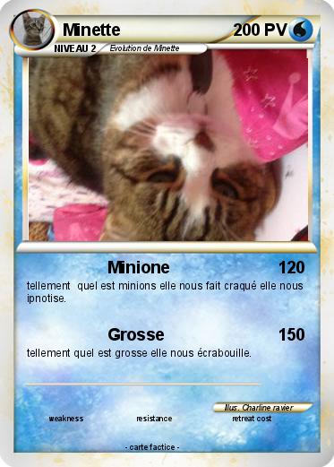 Pokemon Minette