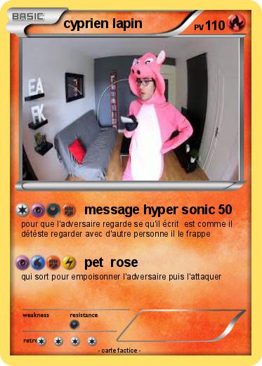 Pokemon cyprien lapin
