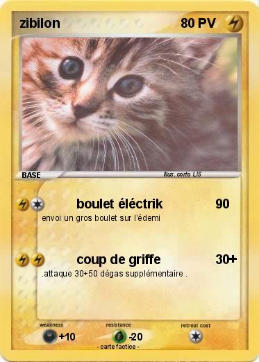 Pokemon zibilon