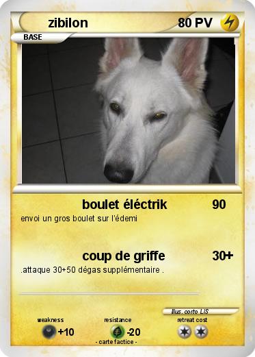 Pokemon zibilon