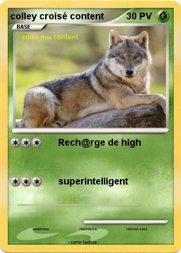 Pokemon colley croisé content