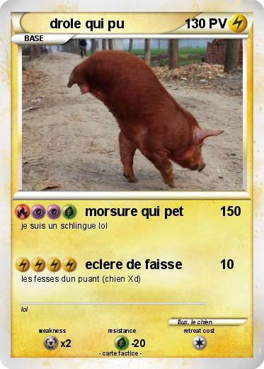 Pokemon drole qui pu