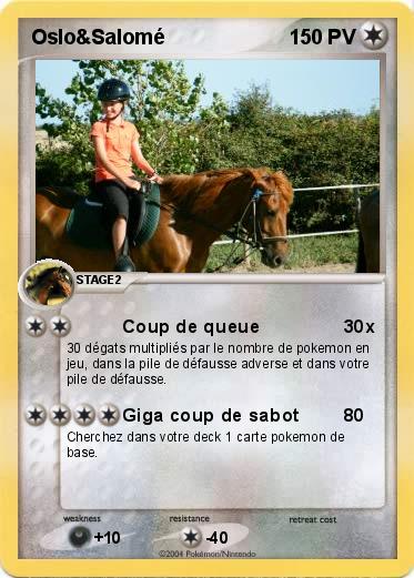 Pokemon Oslo&Salomé