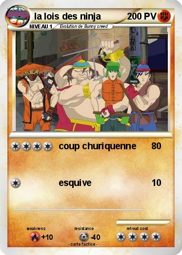 Pokemon la lois des ninja