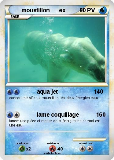 Pokemon moustillon      ex