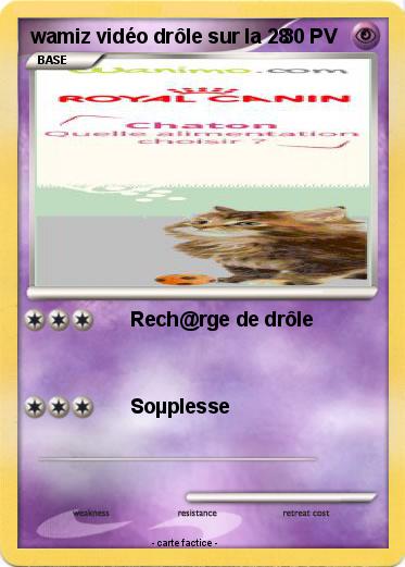 Pokemon wamiz vidéo drôle sur la 28