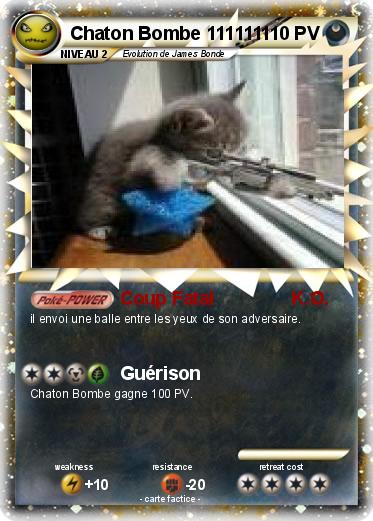 Pokemon Chaton Bombe 111111