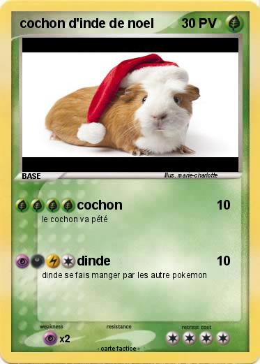 Pokemon cochon d'inde de noel