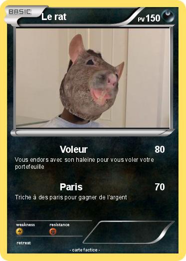 Pokemon Le rat