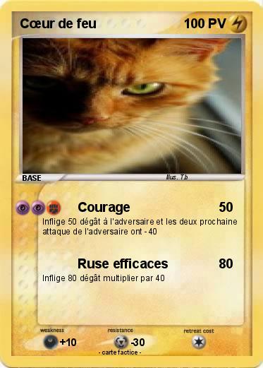 Pokemon Cœur de feu
