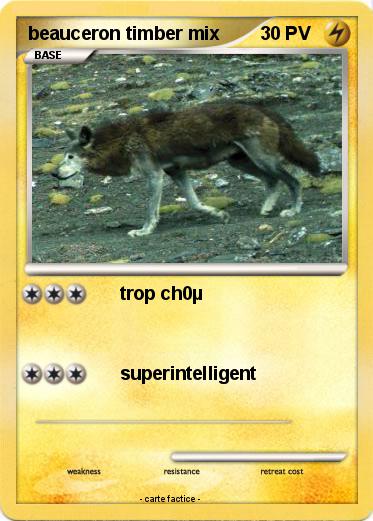 Pokemon beauceron timber mix
