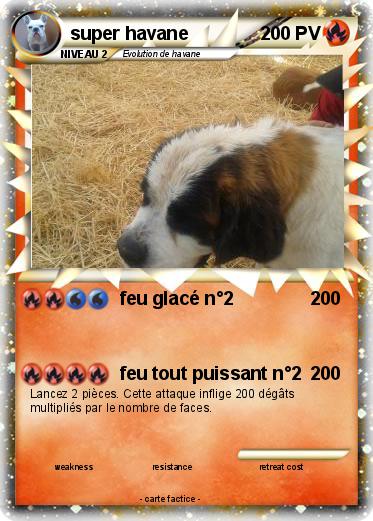 Pokemon super havane