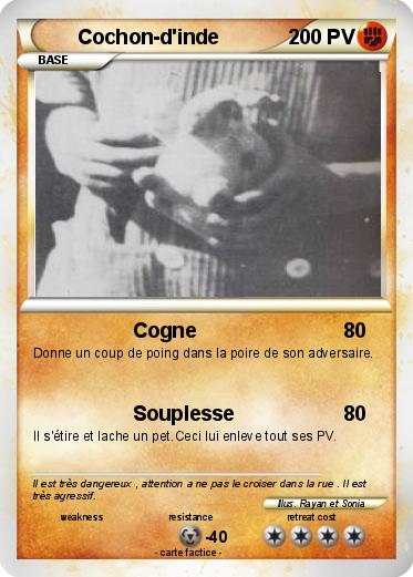 Pokemon Cochon-d'inde