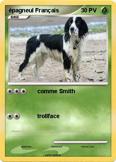 Pokemon épagneul Français