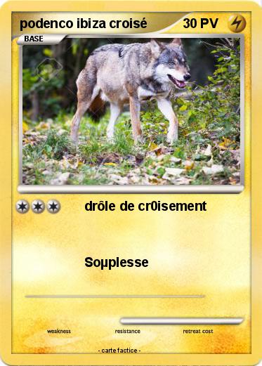 Pokemon podenco ibiza croisé