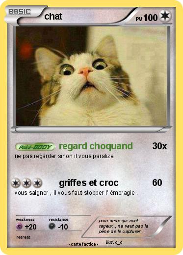 Pokemon chat
