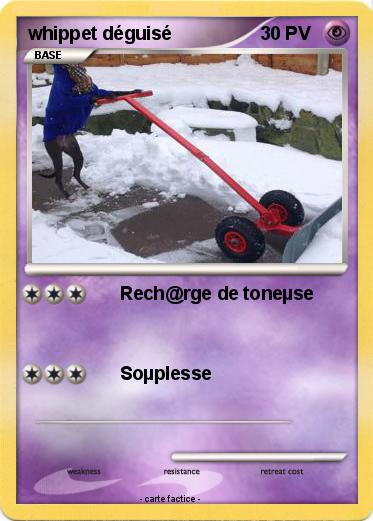 Pokemon whippet déguisé