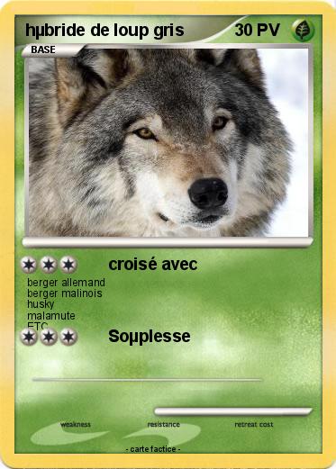 Pokemon hµbride de loup gris