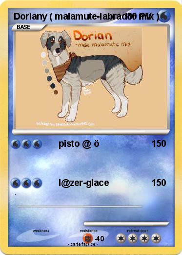 Pokemon Doriany ( malamute-labrador mix )