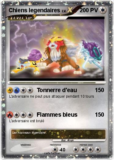 Pokemon Chiens legendaires