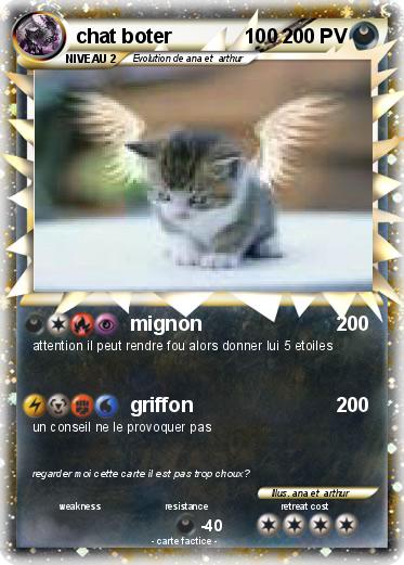 Pokemon chat boter             100