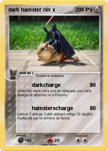Pokemon dark hamster niv x