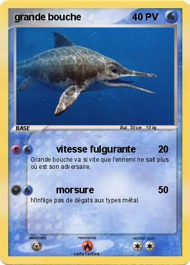 Pokemon grande bouche
